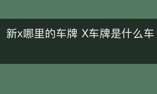新x哪里的车牌 X车牌是什么车