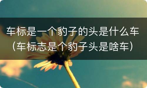 车标是一个豹子的头是什么车（车标志是个豹子头是啥车）