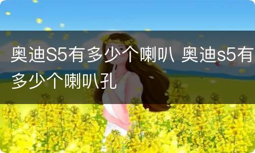 奥迪S5有多少个喇叭 奥迪s5有多少个喇叭孔