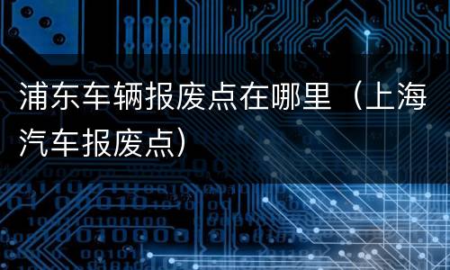 浦东车辆报废点在哪里（上海汽车报废点）