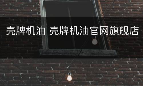 壳牌机油 壳牌机油官网旗舰店