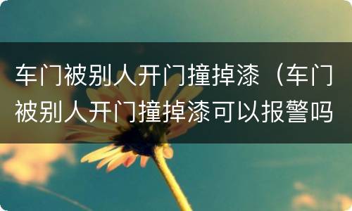 车门被别人开门撞掉漆（车门被别人开门撞掉漆可以报警吗）