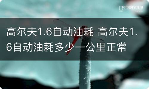 高尔夫1.6自动油耗 高尔夫1.6自动油耗多少一公里正常