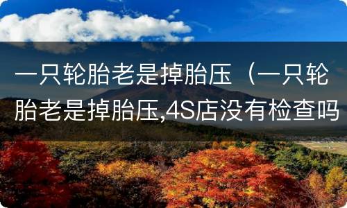 一只轮胎老是掉胎压（一只轮胎老是掉胎压,4S店没有检查吗）