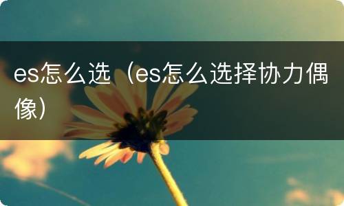 es怎么选（es怎么选择协力偶像）