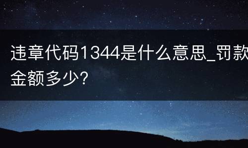 违章代码1344是什么意思_罚款金额多少?