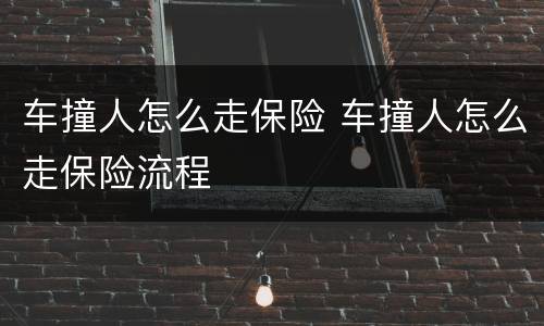 车撞人怎么走保险 车撞人怎么走保险流程