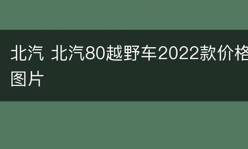 北汽 北汽80越野车2022款价格图片