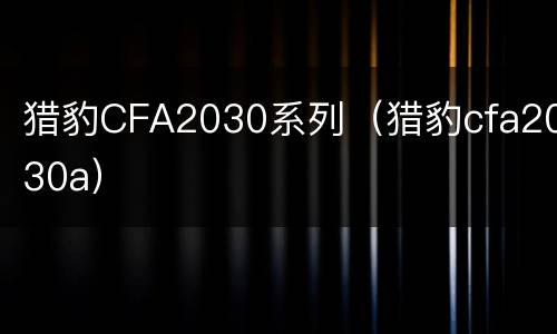 猎豹CFA2030系列（猎豹cfa2030a）