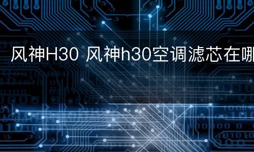 风神H30 风神h30空调滤芯在哪