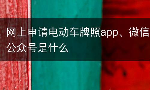 网上申请电动车牌照app、微信公众号是什么