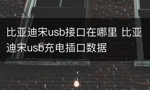比亚迪宋usb接口在哪里 比亚迪宋usb充电插口数据