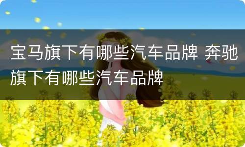宝马旗下有哪些汽车品牌 奔驰旗下有哪些汽车品牌