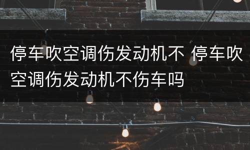停车吹空调伤发动机不 停车吹空调伤发动机不伤车吗