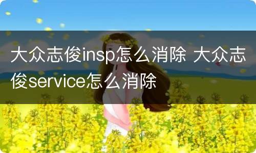 大众志俊insp怎么消除 大众志俊service怎么消除
