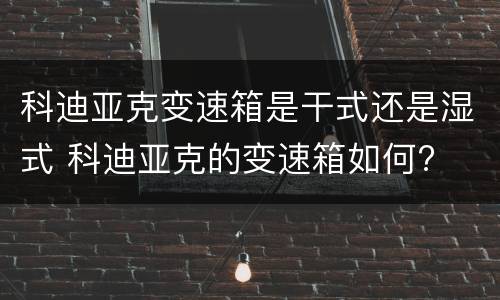 科迪亚克变速箱是干式还是湿式 科迪亚克的变速箱如何?