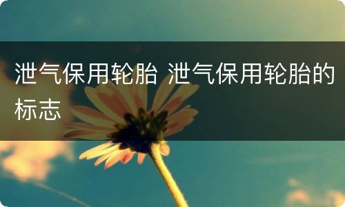 泄气保用轮胎 泄气保用轮胎的标志
