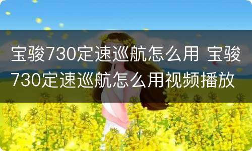 宝骏730定速巡航怎么用 宝骏730定速巡航怎么用视频播放