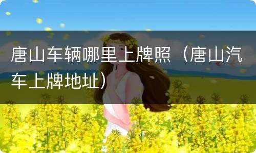 唐山车辆哪里上牌照（唐山汽车上牌地址）
