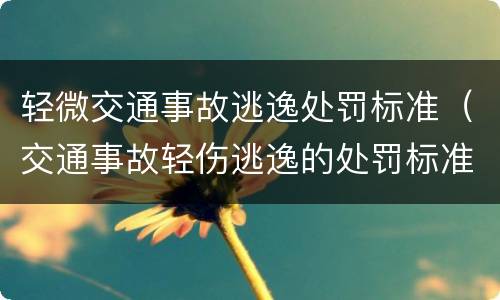 轻微交通事故逃逸处罚标准（交通事故轻伤逃逸的处罚标准）