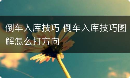 倒车入库技巧 倒车入库技巧图解怎么打方向