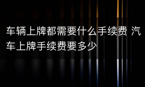 车辆上牌都需要什么手续费 汽车上牌手续费要多少