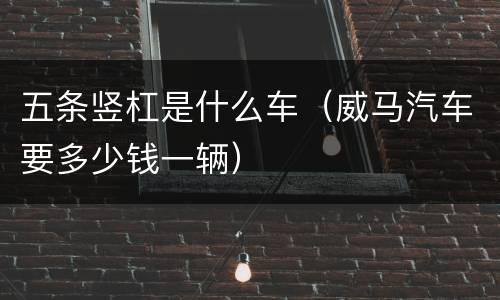 五条竖杠是什么车（威马汽车要多少钱一辆）