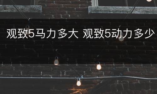 观致5马力多大 观致5动力多少