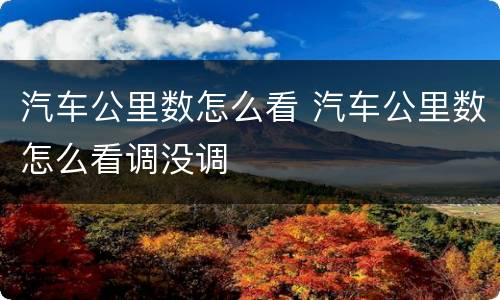 汽车公里数怎么看 汽车公里数怎么看调没调