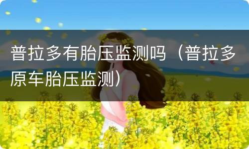 普拉多有胎压监测吗（普拉多原车胎压监测）