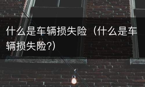 什么是车辆损失险（什么是车辆损失险?）