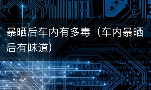 暴晒后车内有多毒（车内暴晒后有味道）