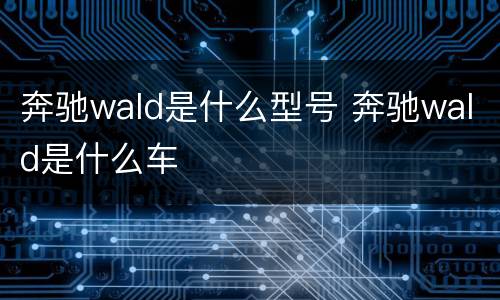 奔驰wald是什么型号 奔驰wald是什么车