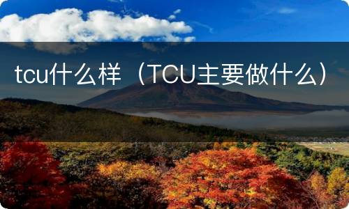 tcu什么样（TCU主要做什么）