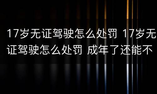 17岁无证驾驶怎么处罚 17岁无证驾驶怎么处罚 成年了还能不能考驾照