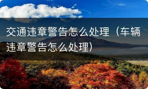 交通违章警告怎么处理（车辆违章警告怎么处理）
