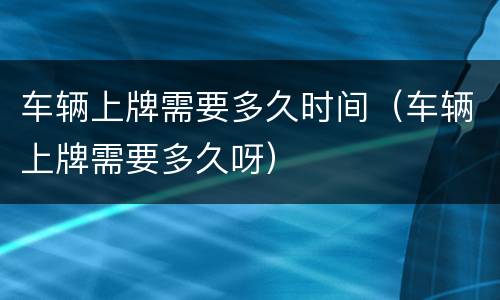 车辆上牌需要多久时间（车辆上牌需要多久呀）