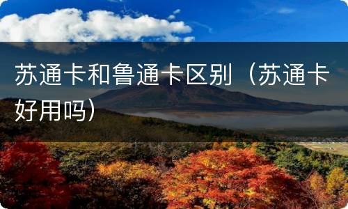 苏通卡和鲁通卡区别（苏通卡好用吗）