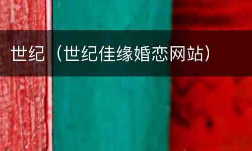 世纪（世纪佳缘婚恋网站）