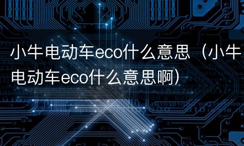 小牛电动车eco什么意思（小牛电动车eco什么意思啊）