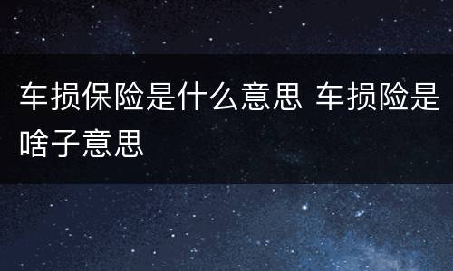 车损保险是什么意思 车损险是啥子意思