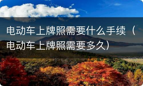 电动车上牌照需要什么手续（电动车上牌照需要多久）