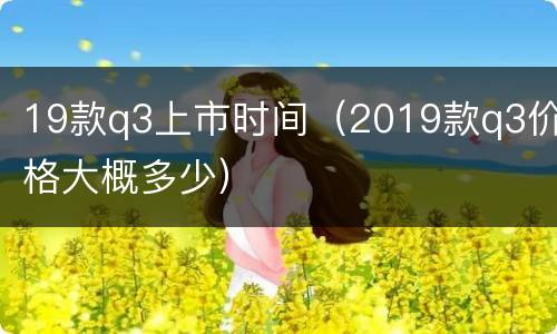 19款q3上市时间（2019款q3价格大概多少）