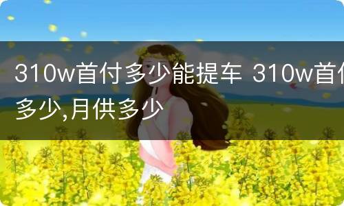310w首付多少能提车 310w首付多少,月供多少