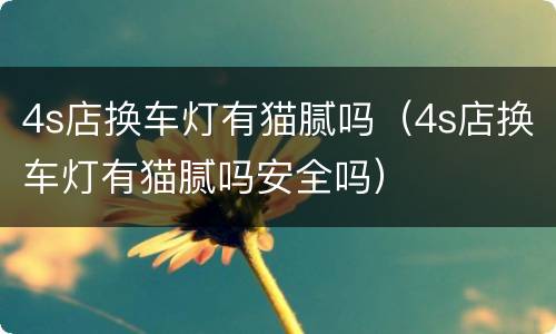 4s店换车灯有猫腻吗（4s店换车灯有猫腻吗安全吗）