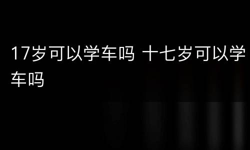 17岁可以学车吗 十七岁可以学车吗