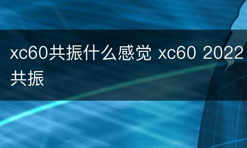 xc60共振什么感觉 xc60 2022共振
