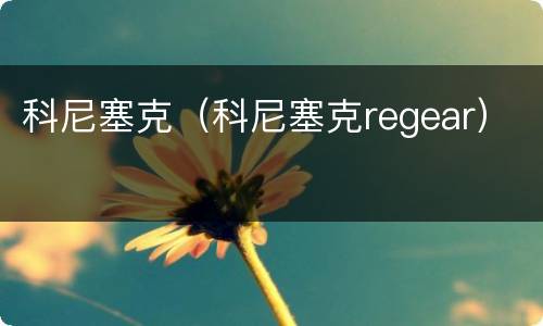 科尼塞克（科尼塞克regear）