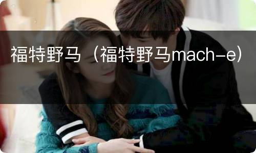 福特野马（福特野马mach-e）