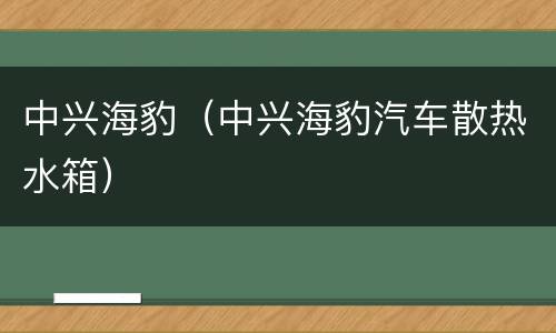 中兴海豹（中兴海豹汽车散热水箱）